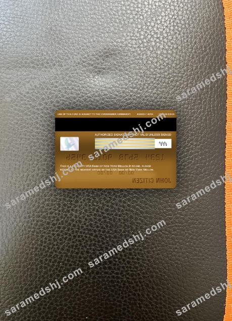 USA Bank of New York Mellon visa gold card photolook back